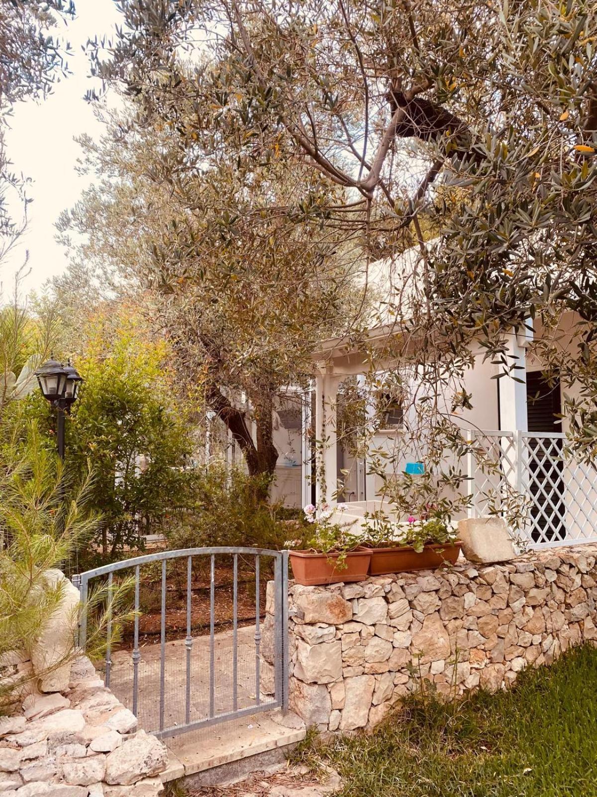 פורטו צ'זראו B&B Quasimare מראה חיצוני תמונה
